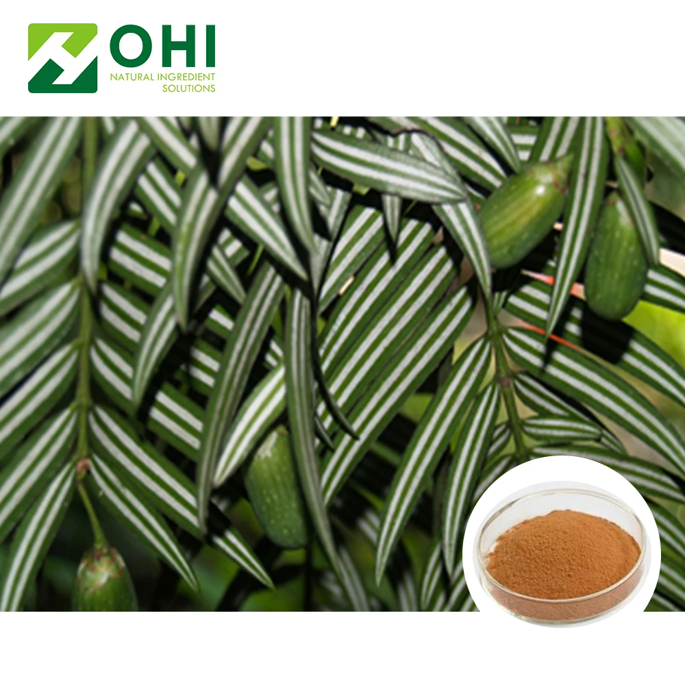 active Ingredient supplier nature Amentoflavone Selaginella Tamariscina Extract