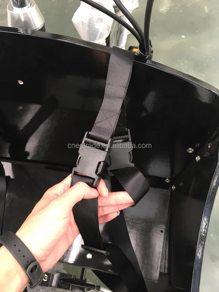 Family electric adult cargo bike carry kids/Mother used cargo tricycle/bicycle