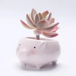 Cartoon Succulent Flowerpot Ornaments Small Ceramic Animal Planters for Home, Garden Used with Flower/green Plant Glazed Desktop