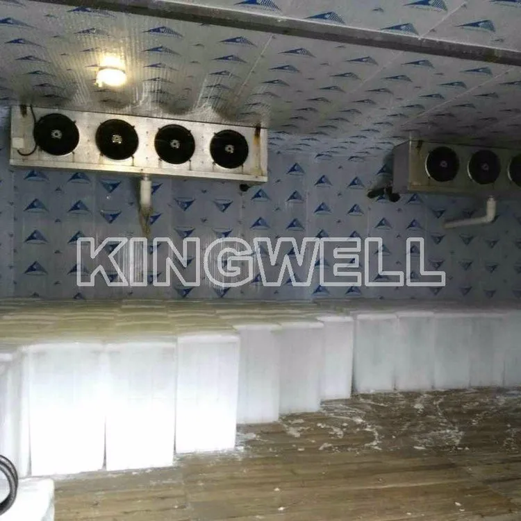 Long Service Life but Low Price Mini Ice Plant Supplier