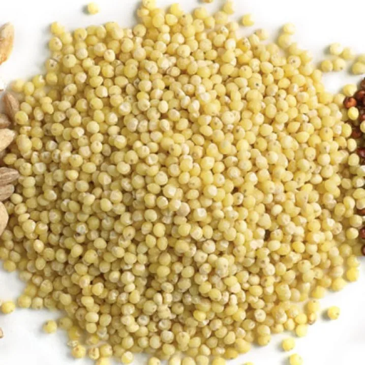 South africa wholesale cheap dried organic pearl millet price