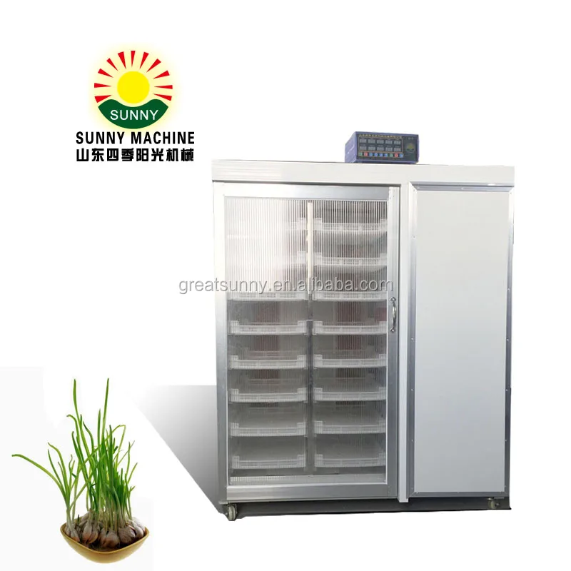 Automatic hydroponic vegetable machinery for Growing Alfalfa, wheat, Brassica, lettuce of machine