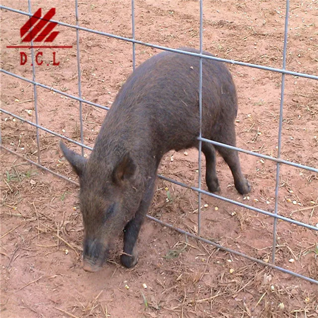 Heavy duty hot dipped galvanized livestock equipment cattle yard panel /cattle panel