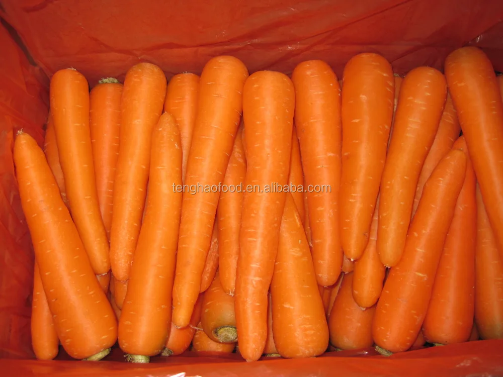 
fresh carrot 