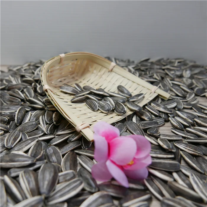 High Quality hybrid sunflower seeds