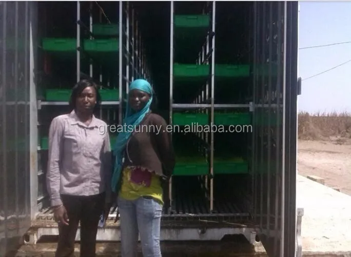 
Commercial equipment /animal feed hydroponic fodder making machine/ sprout growing equipment fodder corn tray 