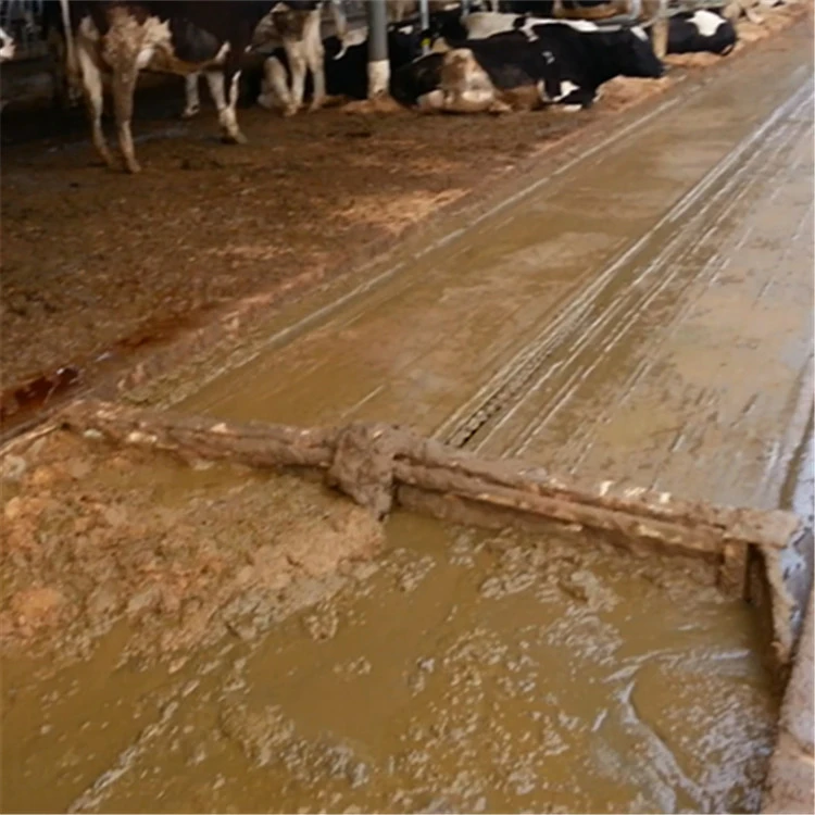 Siemens Control System Manure Scraper For Dairy Cow Farm , Manure Cleaning Machine