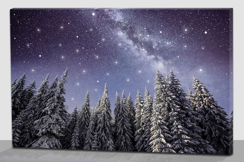 Forest night sky LED canvas new painting, wood frame home wall decor with twinkling star