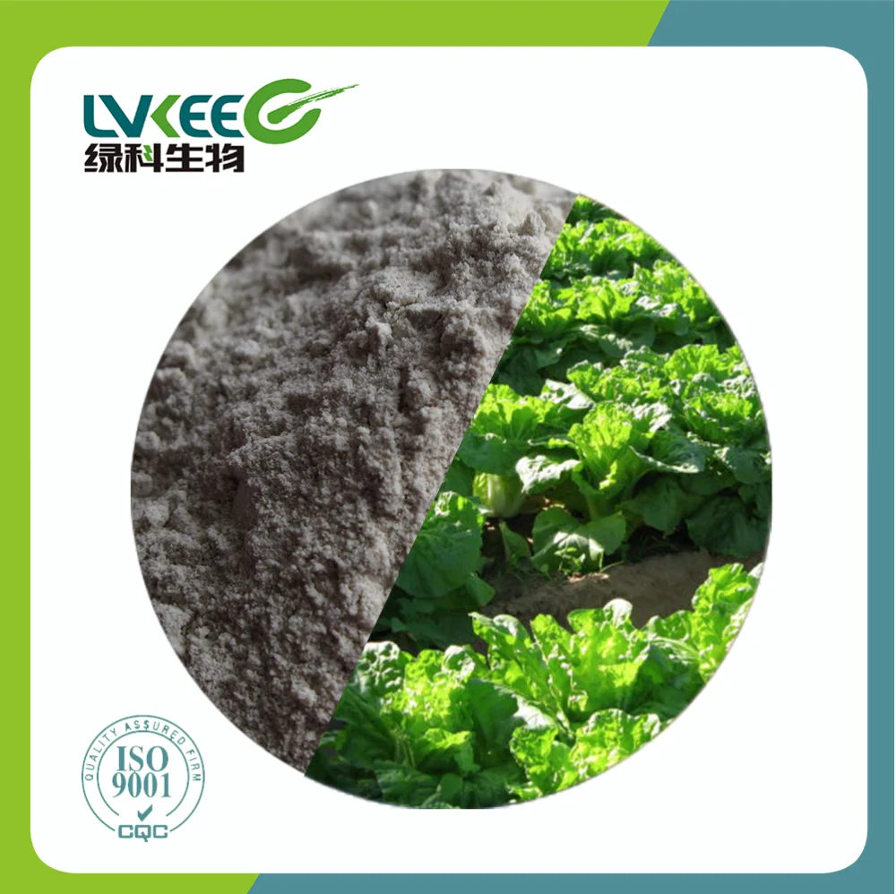 Organic fertilizer Bio phosphorus soluble bacteria Bacillus Megaterium for Agriculture