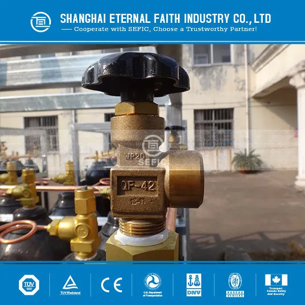 European Market Liquid Nitrogen Gas Cylinder Price for Sale