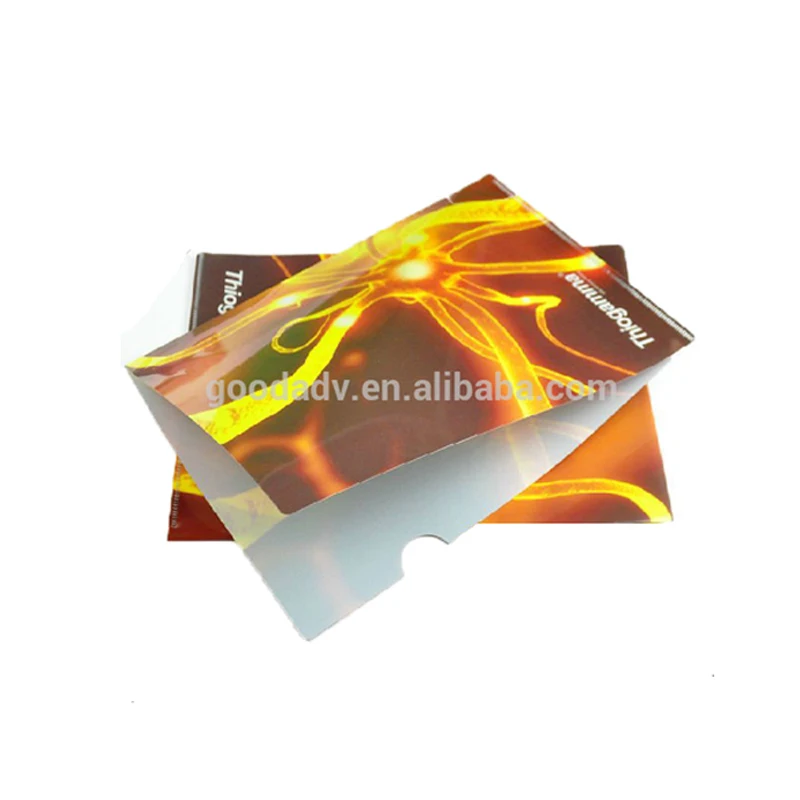 Plastic file folder/pp folder file