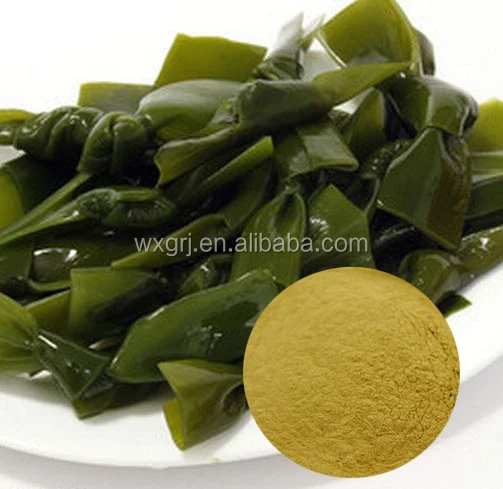 Organic Fucoxanthin From Kelp Extract Brown Seaweed Extract Powder OEM Service