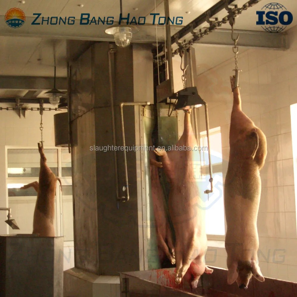 Машина для мытья свиней для бойника, оборудование для бойника, оборудование и инструменты