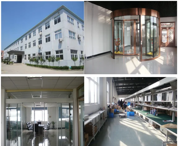Automatic sensor door system entrance door operator