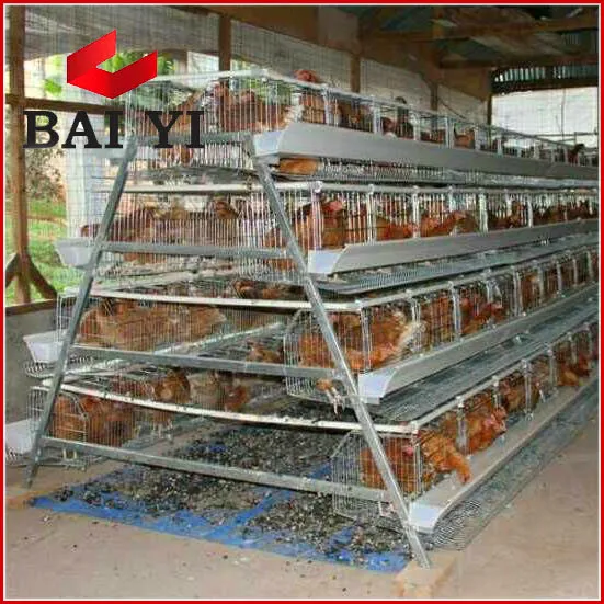 Best Selling Layer Chicken Battery Cage Poultry Equipment In Zimbabwe,South Africa,Pakistan