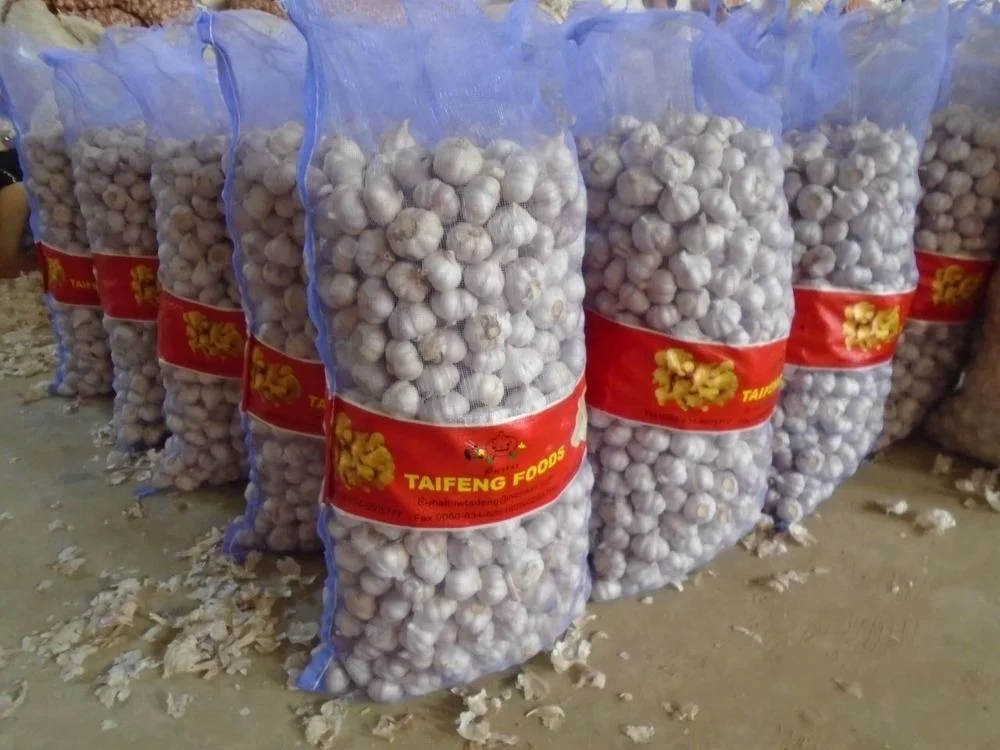 BEST FRESH NATURAL HOT SELLING GARLIC TO EXPORT