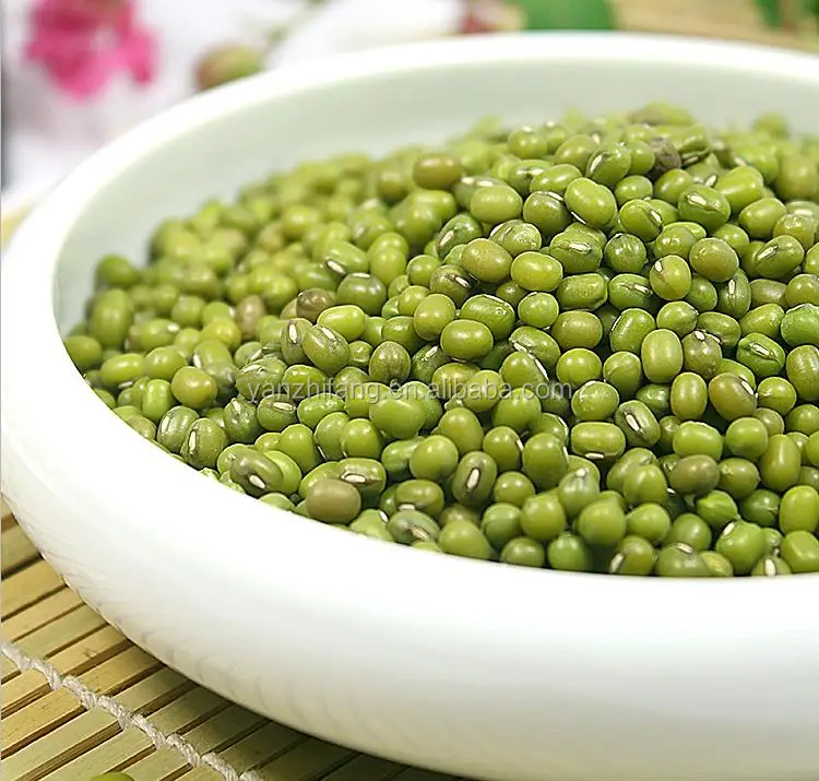 
Hot sale cheap dried green beans green mong beans high quality 