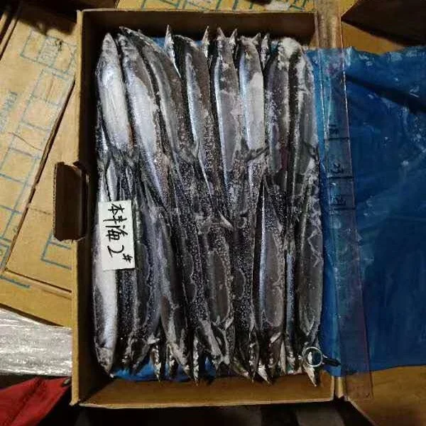 
Frozen Pacific Saury W/R 