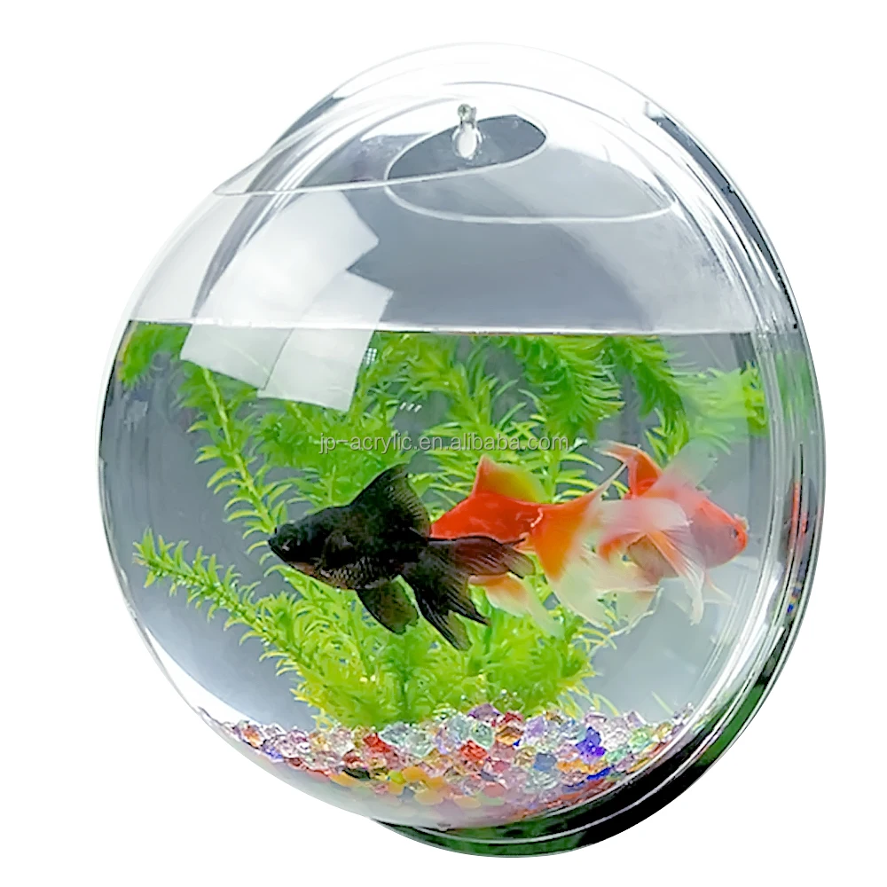 
Indoor Small Acrylic Fish Tank Wall Hanging Fish Bubble Aquarium Plant Pot Wholesale Acrylic Wall Mounted Fish 
