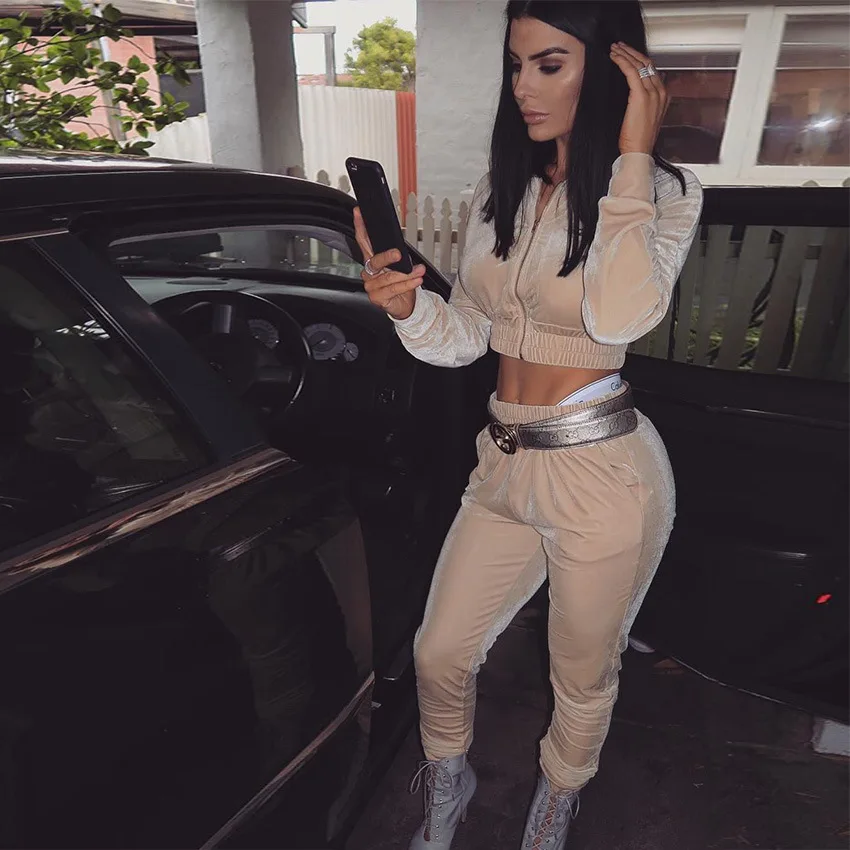 Wholesale Custom Womens velvet 2 pieces set cropped pants set Latest Sport Plain women pink Velour Tracksuit