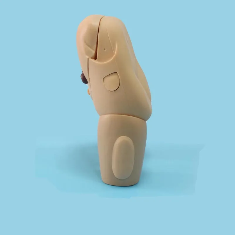 Care Hot Sale Chinon Women Male Simulator Advanced Nursing Training Urethral Catheterization Female Genital Model