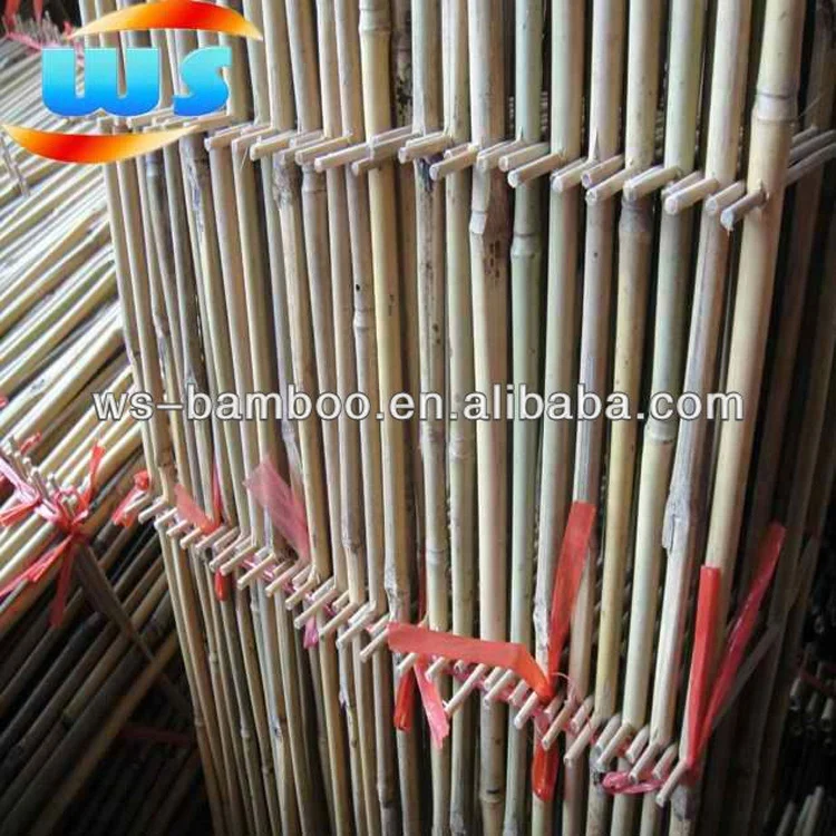 bamboo trellis little bamboo ladder