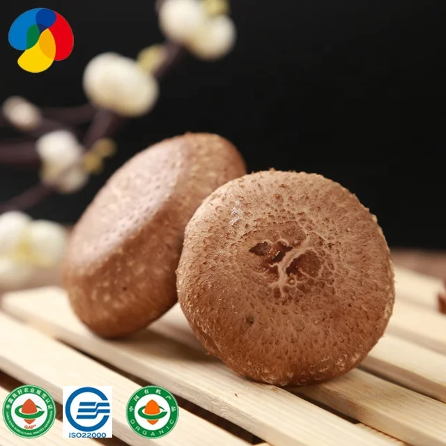 Органические пакеты для выращивания грибов Shiitake