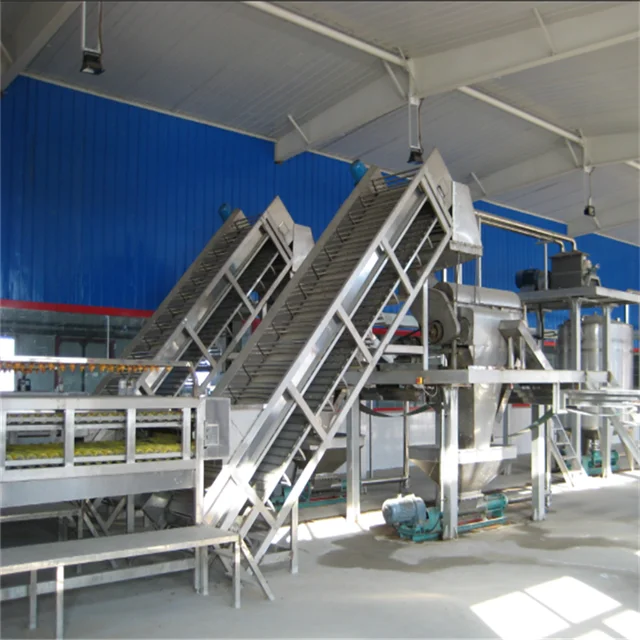 Sanitary Conveyor Incline Belt Conveyor Washable Convey Belt For Fruit And Vegetable Focus Machinery