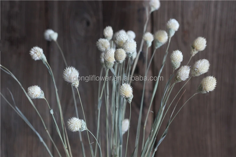 Floral Dried Handmade natural cedar nut Ball Flower