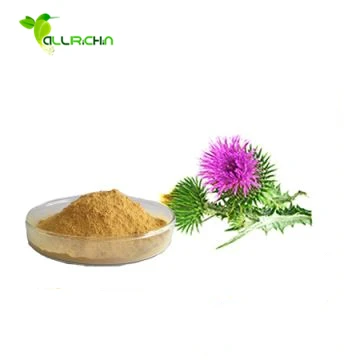 Natural Liver Protector Organic Silymarin Extract Powder with Best Price
