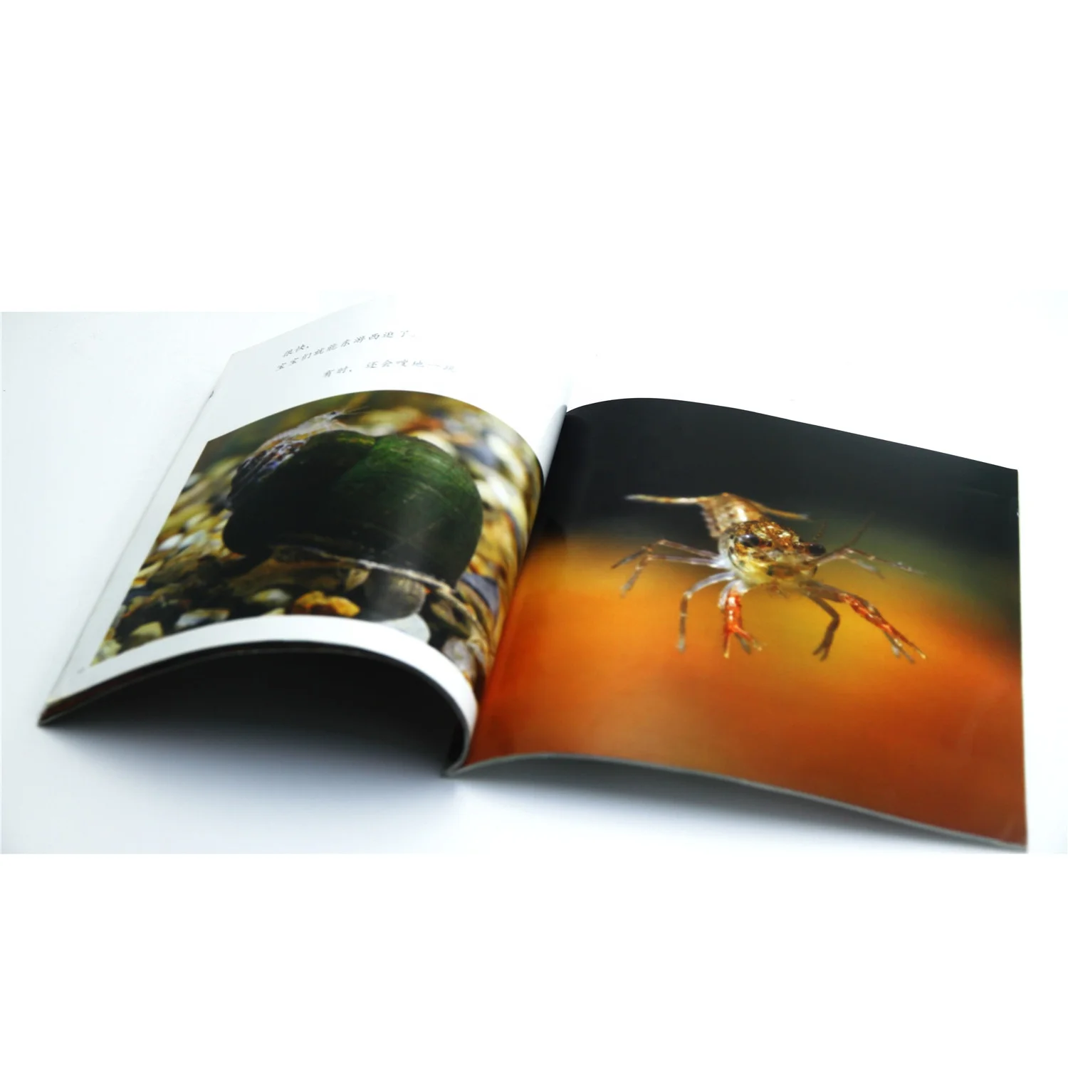 Custom Promotional Book Printing/Magazine Printing/Cheap Book Printing Service