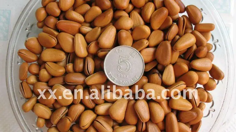 fried pine nuts for sale