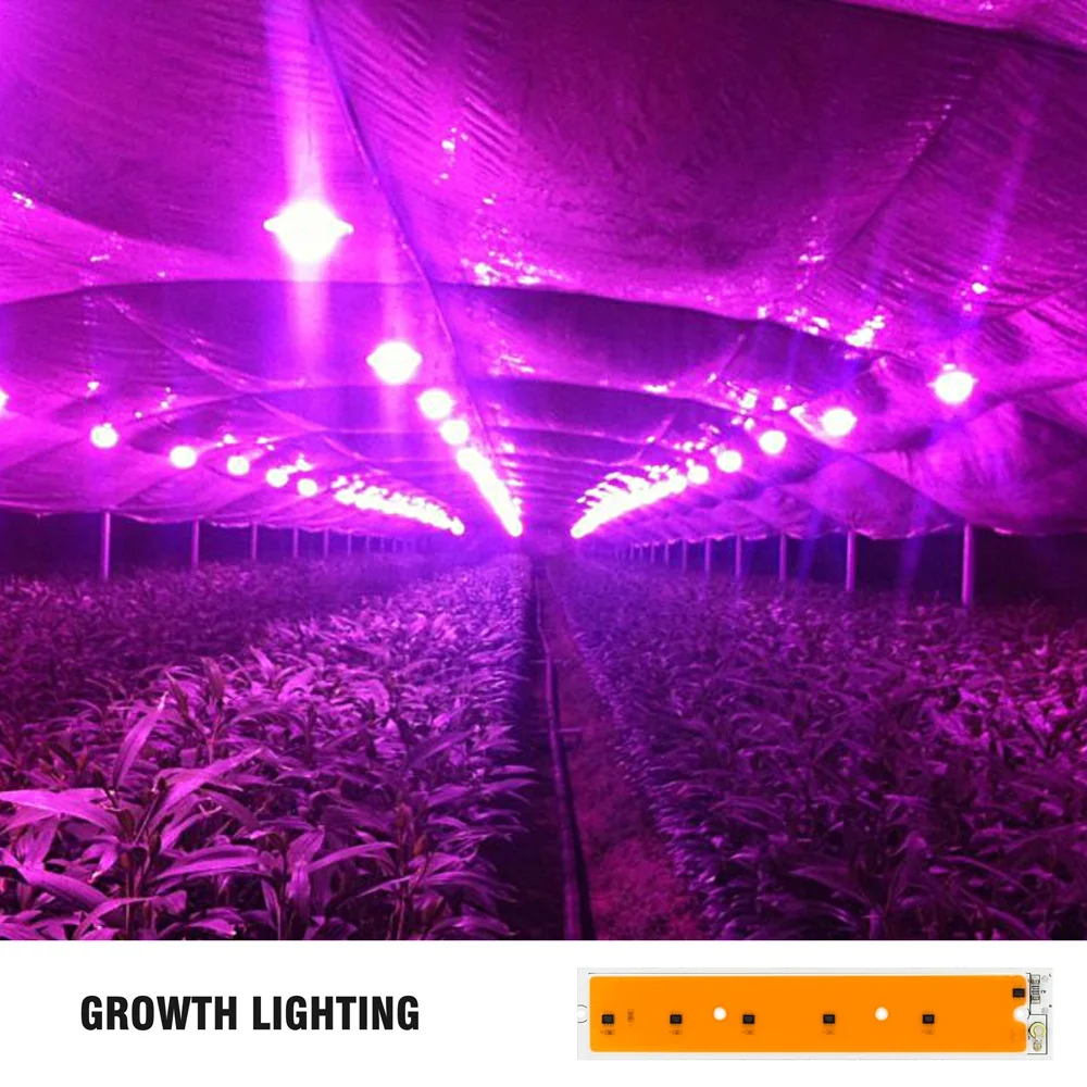 6000-6500K 220v driverless full spectrum floodlight led 50w cob grow lights chip