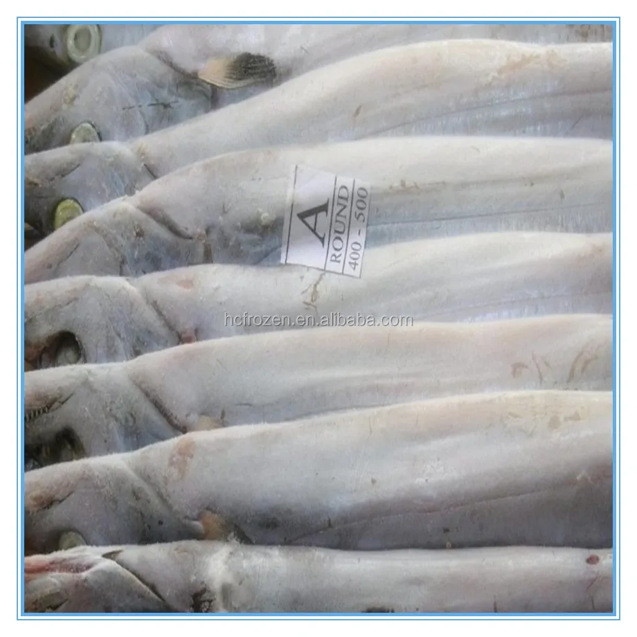 BQF Frozen fresh whole round ribbon fish for sale