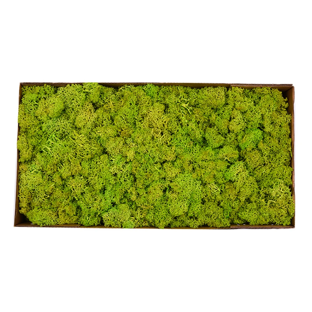 
Wholesale Best Quality Kunming Grade A Preserved Reindeer Dried Moss for Wall Decoration 