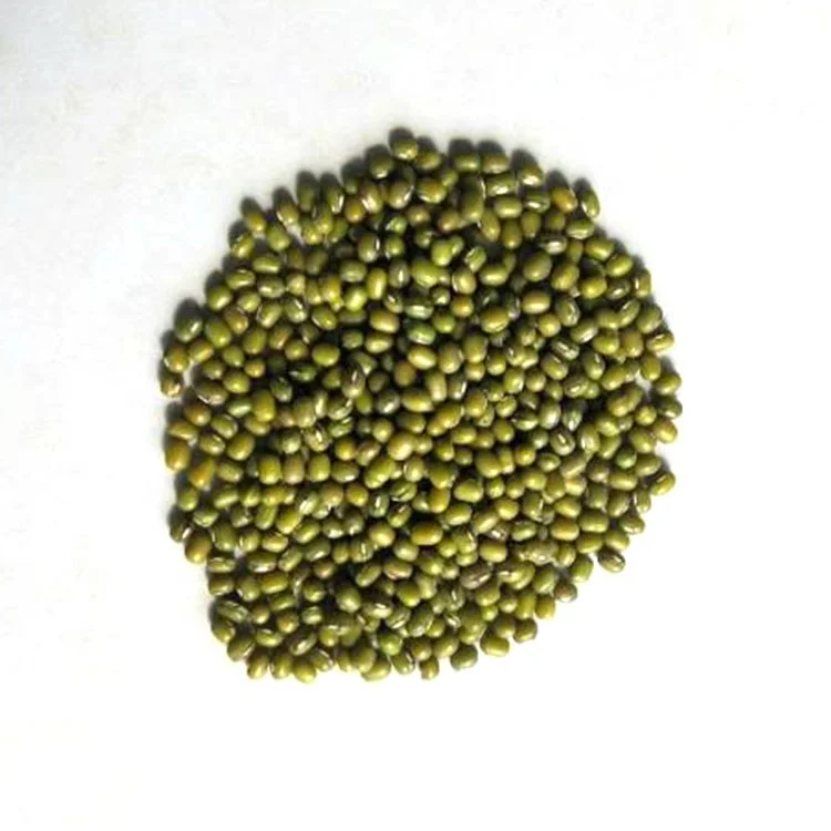  Factory supply high quality green mung beans with competitive