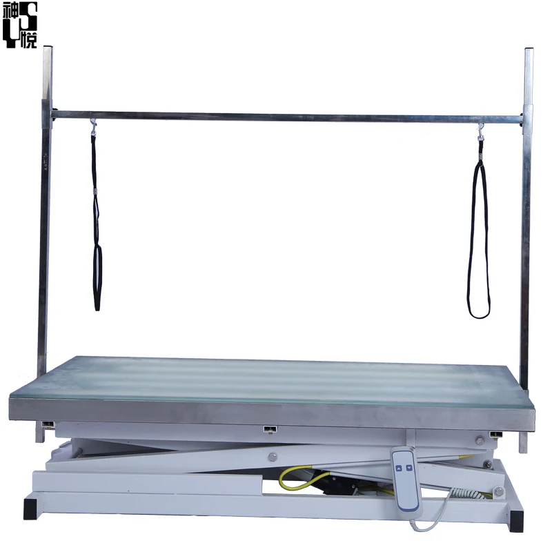 High Quality Large Lifting Height Adjustable Hydraulic Electric Dog Grooming Table with Led Light