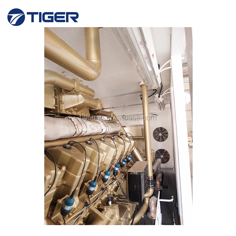 China top quality durable good price 1mw biogas generator