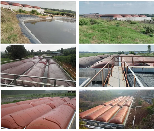 Factory price red mud biogas digester for animal cow poultry chicken lamb dropings waste