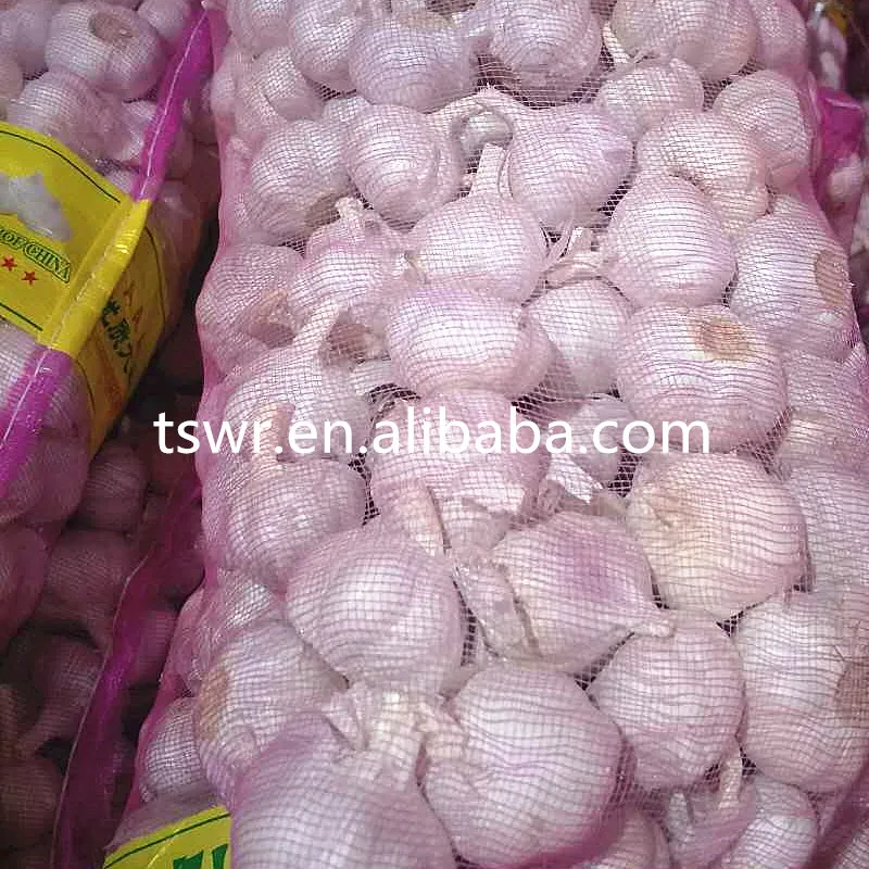
cold storage garlic high quality garlic 2020 crop 