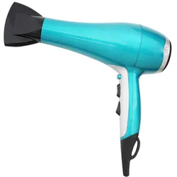 2020 New Strong Wind Fast Drying Hair Salon Equipment Blow Dryer Hair Dryer Professional