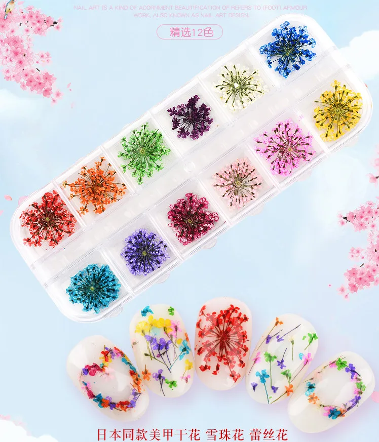 Nail Babysbreath Dried Flowers Natural Petals Dry Flower For DIY Nail Decoration