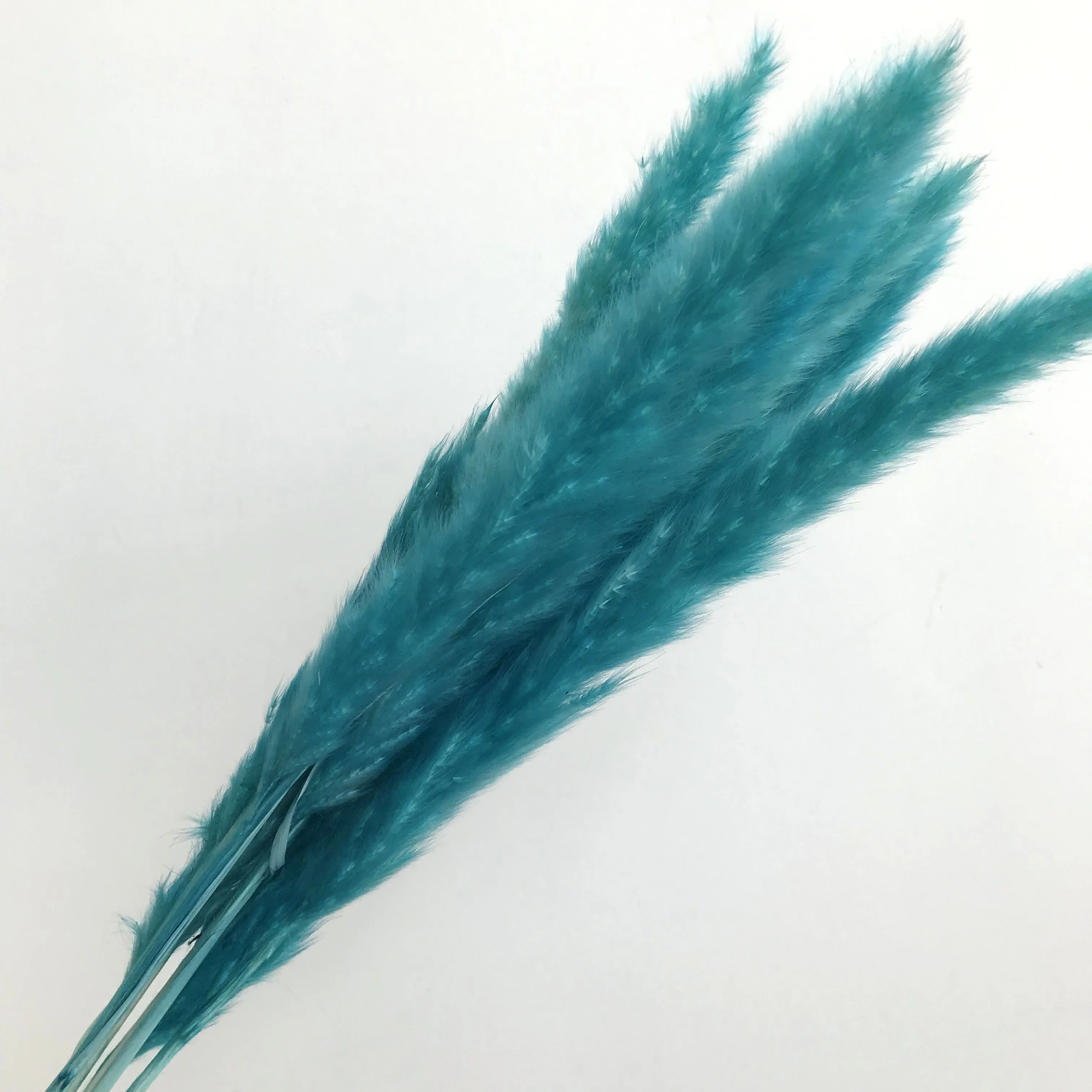 dried flowers painting dried flowers singapore