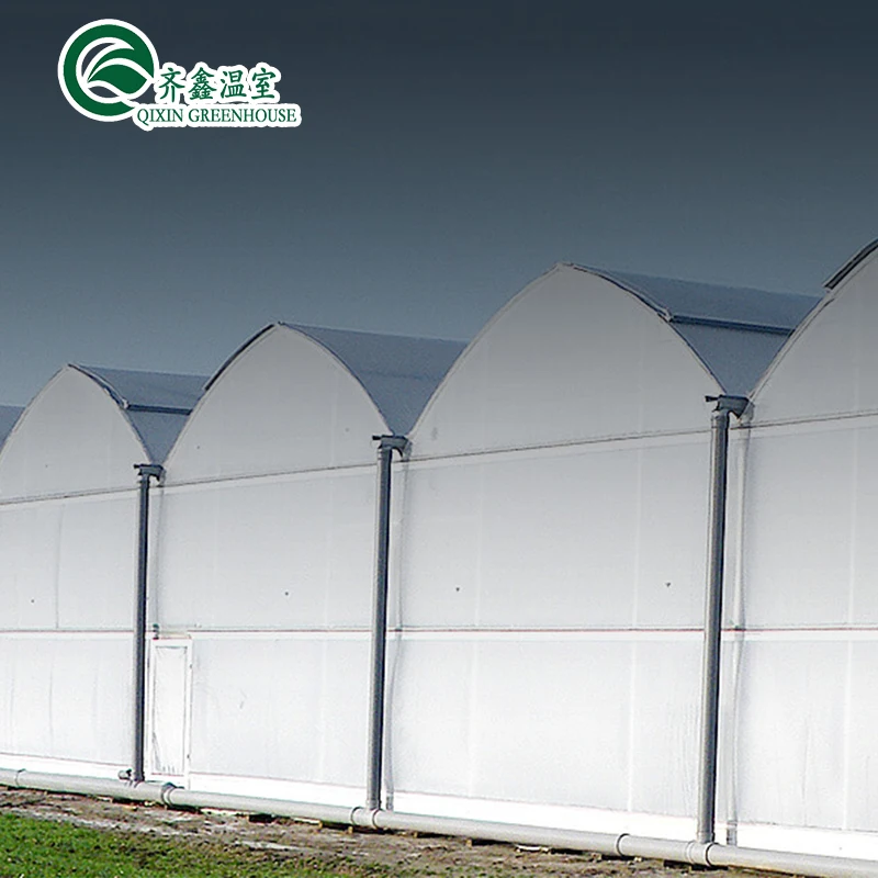 Aquaponics Film Greenhouse For Animals Growing Tent