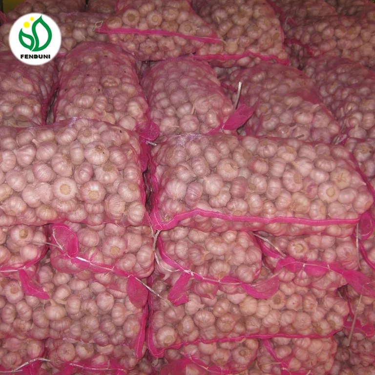 2022 Fresh Garlic Price for Morocco 10kg/bag, 20kg/bag