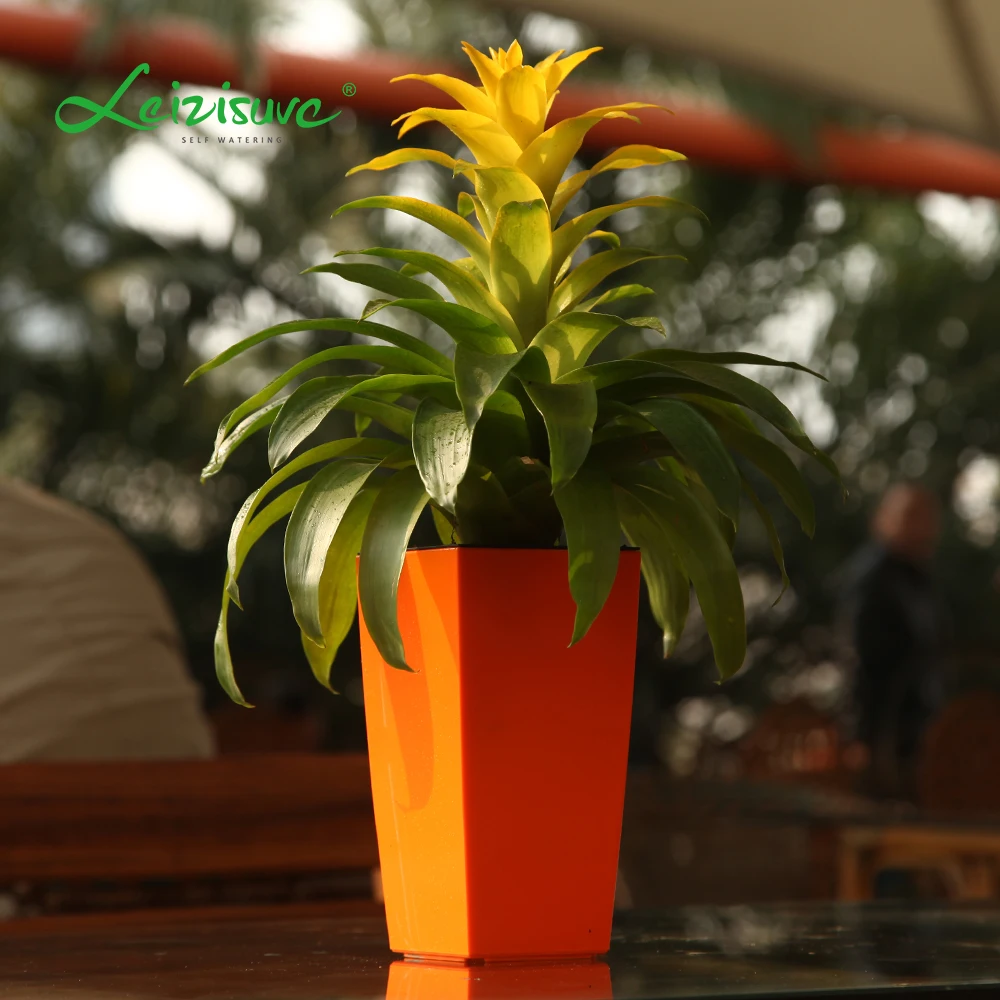 Leizisure Office Table Plastic Mini Small Tall Square Ceramic Trapezoid Self Watering Plant Pot