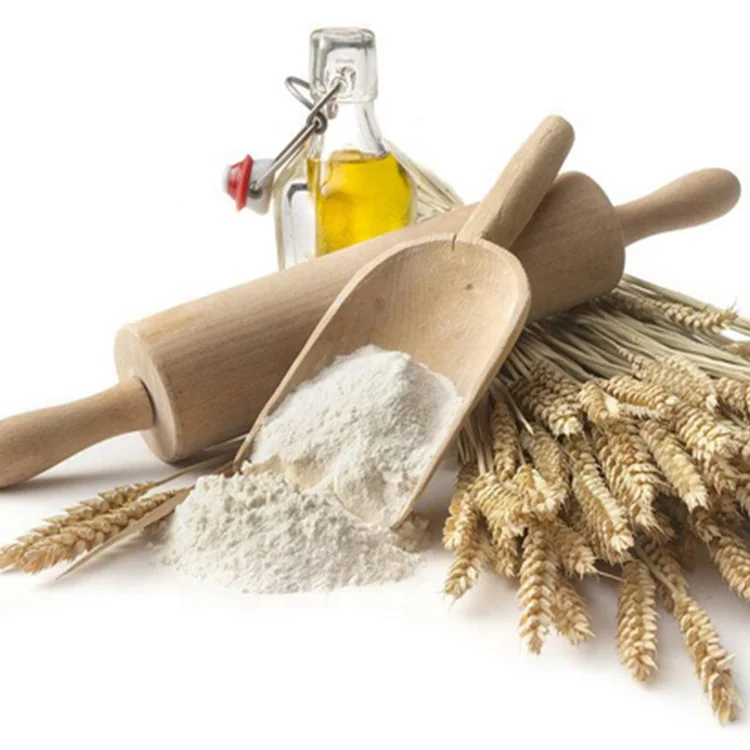 Best-Selling Natural Dry XINRUIGUAN Brand Vital Wheat Gluten CAS 11078-31-2