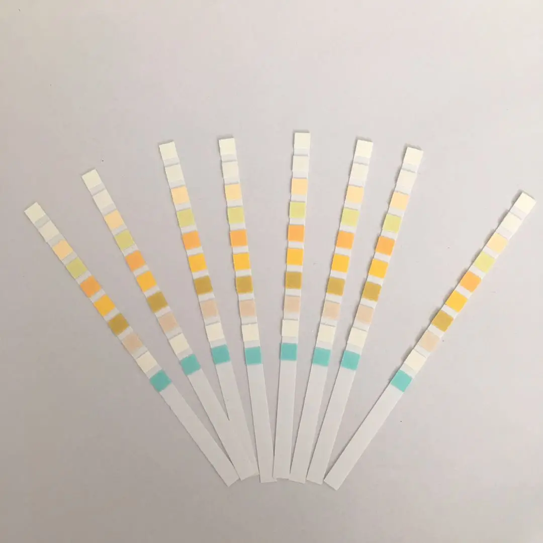One step rapid urine test strip use in home 10 parameters