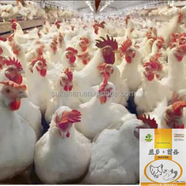Оптовая продажа, кормовая добавка, пробиотики для домашней птицы