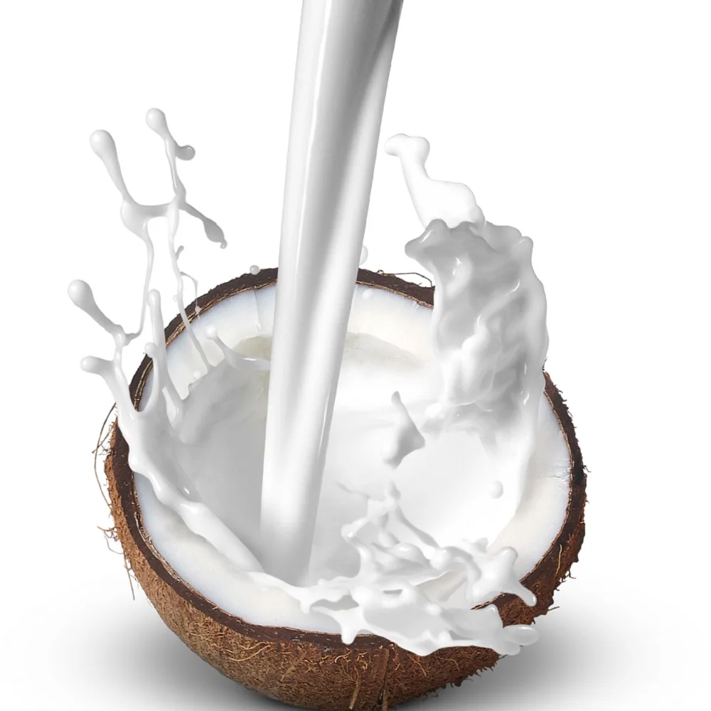Кокосовый порошок N32 без молочных сливок для твердых напитков, растворимый в воде 31% жира